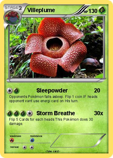 Pokemon Villeplume