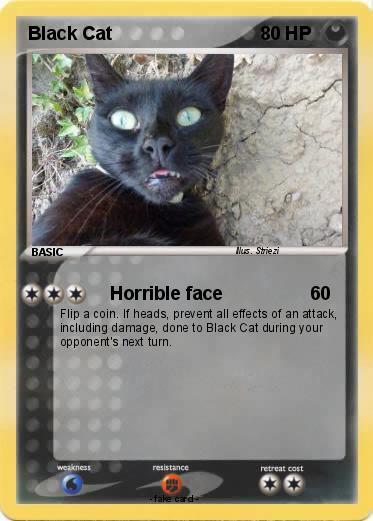 Pokemon Black Cat