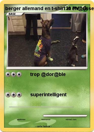 Pokemon berger allemand en t-shirt et ch@ussettes