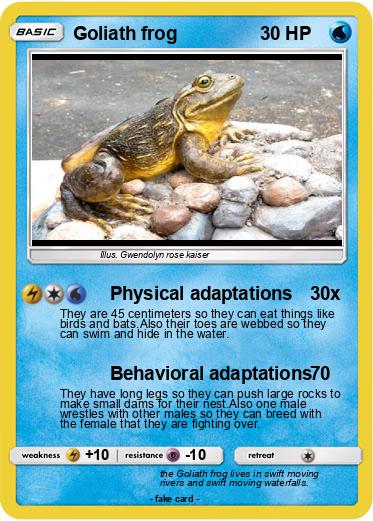 Pokemon Goliath frog