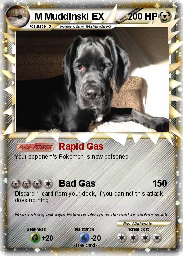 Pokemon M Muddinski EX