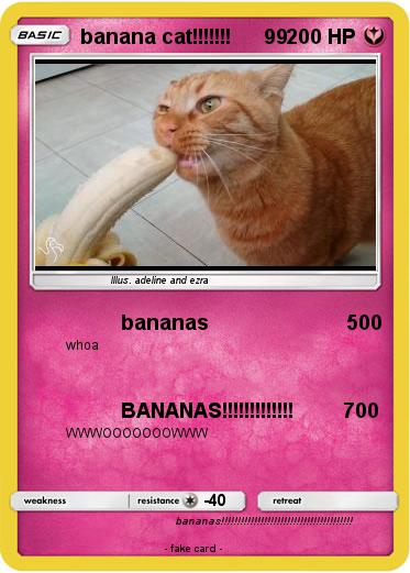 Pokemon banana cat!!!!!!!      99