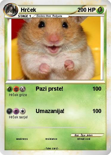 Pokemon Hrček