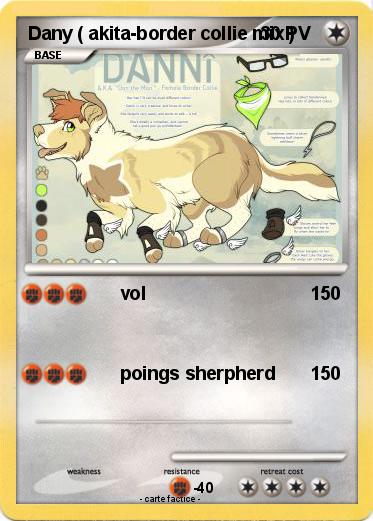Pokemon Dany ( akita-border collie mix )