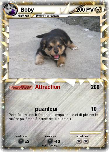 Pokemon Boby