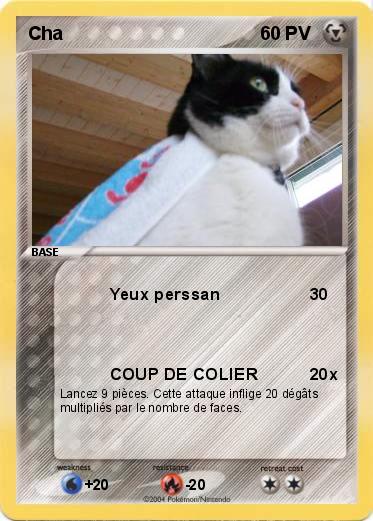 Pokemon Cha