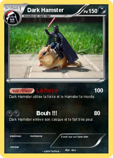 Pokemon Dark Hamster