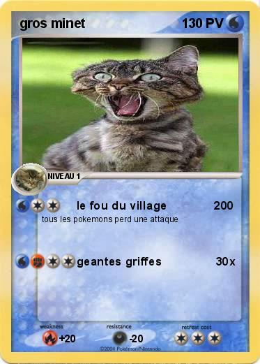 Pokemon gros minet