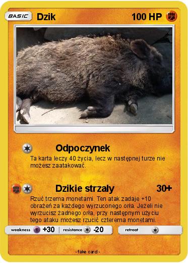 Pokemon Dzik