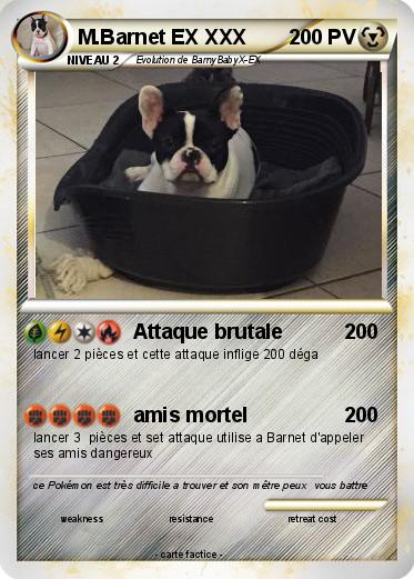 Pokemon M.Barnet EX XXX