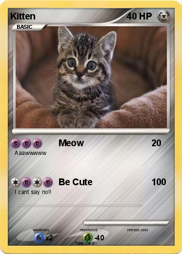 Pokemon Kitten
