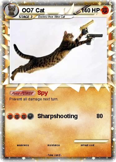 Pokemon OO7 Cat