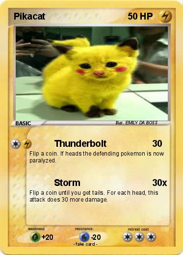 Pokemon Pikacat