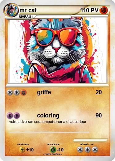 Pokemon mr cat