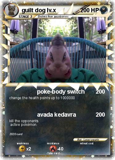Pokemon guilt dog lv.x
