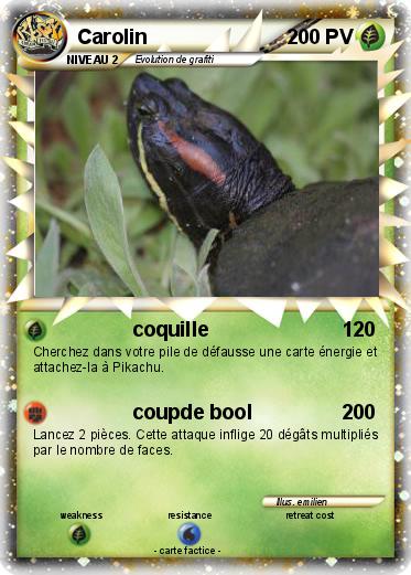 Pokemon Carolin