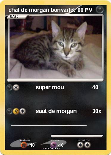 Pokemon chat de morgan bonvarlet