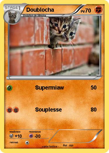 Pokemon Doublocha