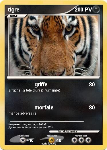 Pokemon tigre