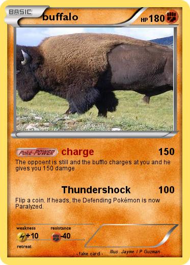 Pokemon buffalo
