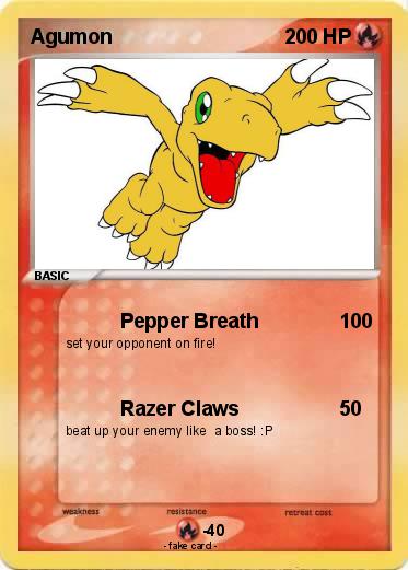 Pokemon Agumon