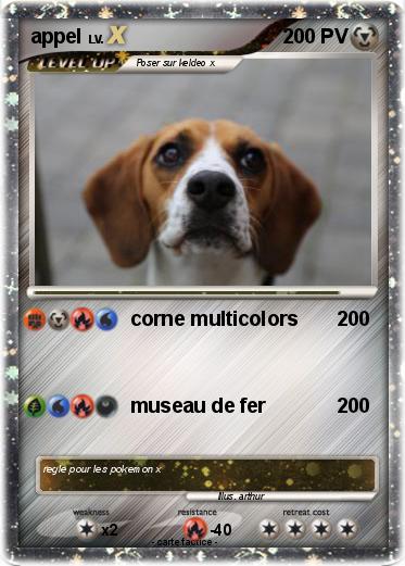 Pokemon appel