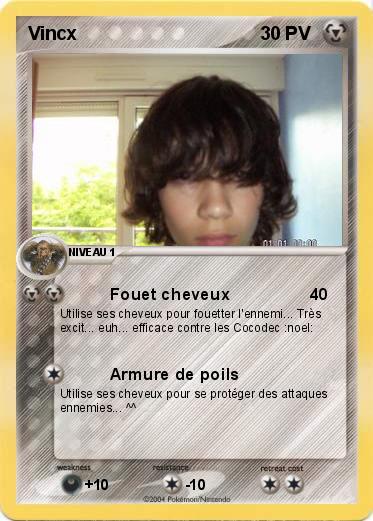 Pokemon Vincx