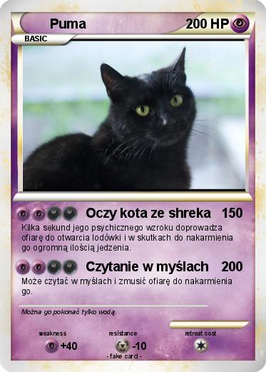 Pokemon Puma