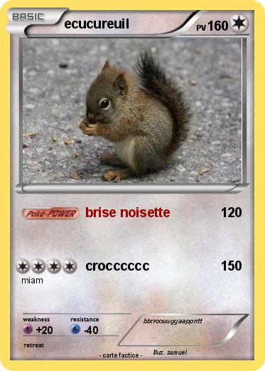 Pokemon ecucureuil