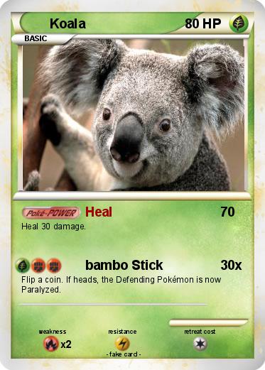 Pokemon Koala
