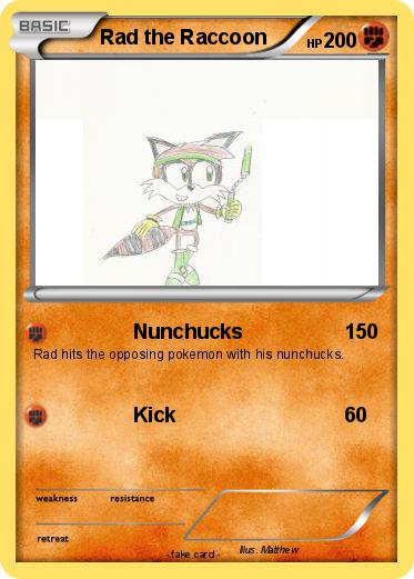 Pokemon Rad the Raccoon