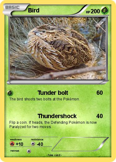 Pokemon Bird