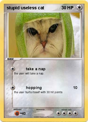 Pokemon stupid useless cat