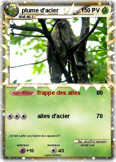 Pokemon plume d'acier