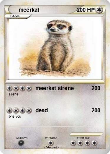 Pokemon meerkat