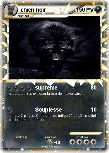 Pokemon chien noir