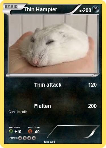 Pokemon Thin Hampter