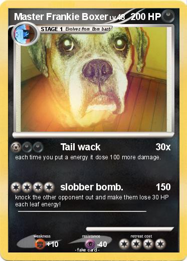 Pokemon Master Frankie Boxer