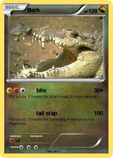 Pokemon Berk