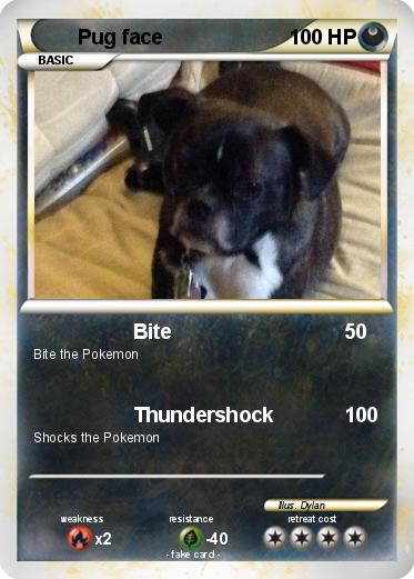 Pokemon Pug face
