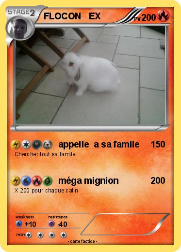 Pokemon FLOCON   EX