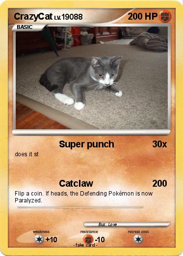 Pokemon CrazyCat