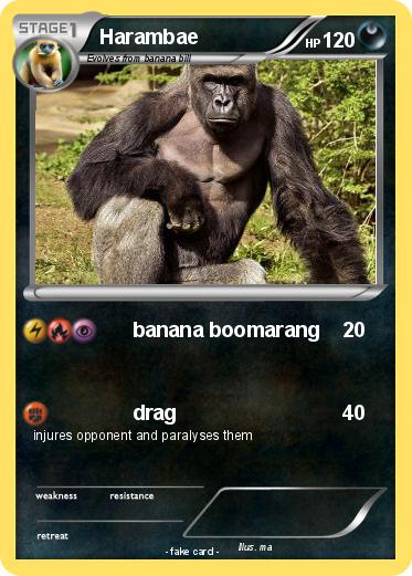 Pokemon Harambae