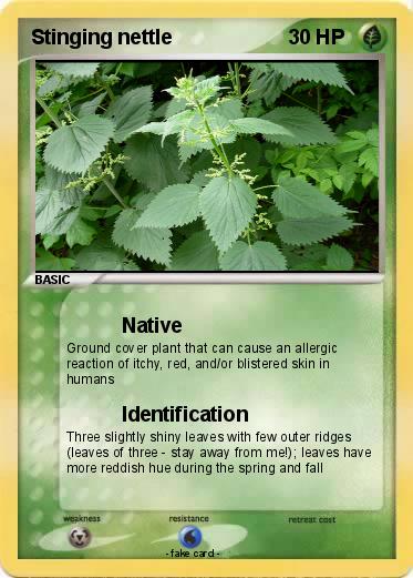 Pokemon Stinging nettle