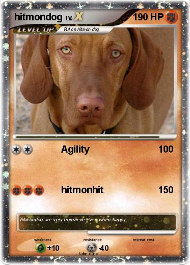 Pokemon hitmondog