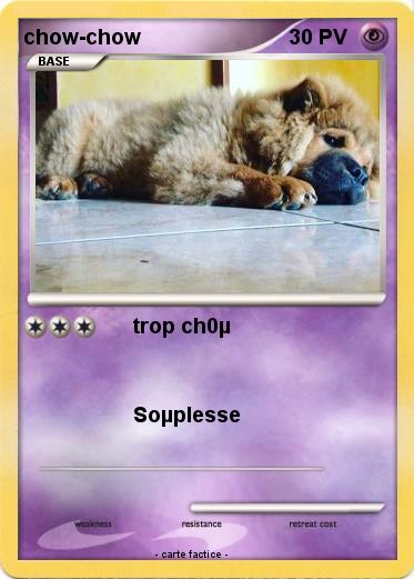 Pokemon chow-chow
