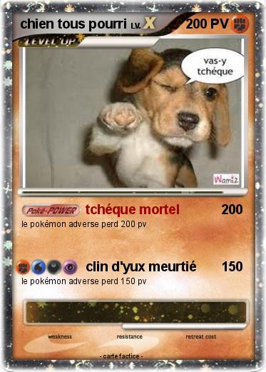 Pokemon chien tous pourri