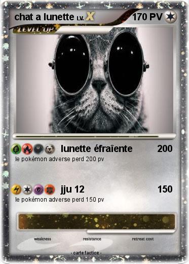 Pokemon chat a lunette