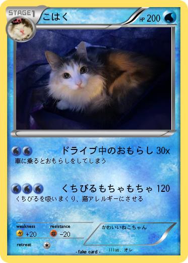 Pokemon こはく