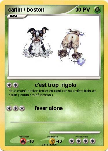 Pokemon carlin / boston
